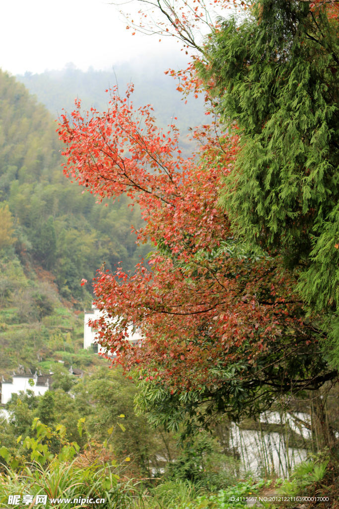 婺源风景