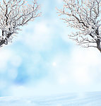 雪景