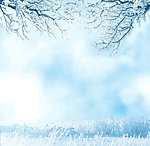 雪景