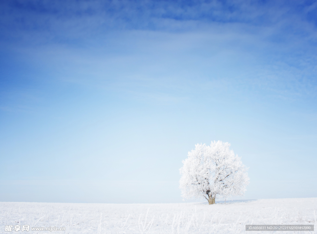 雪景