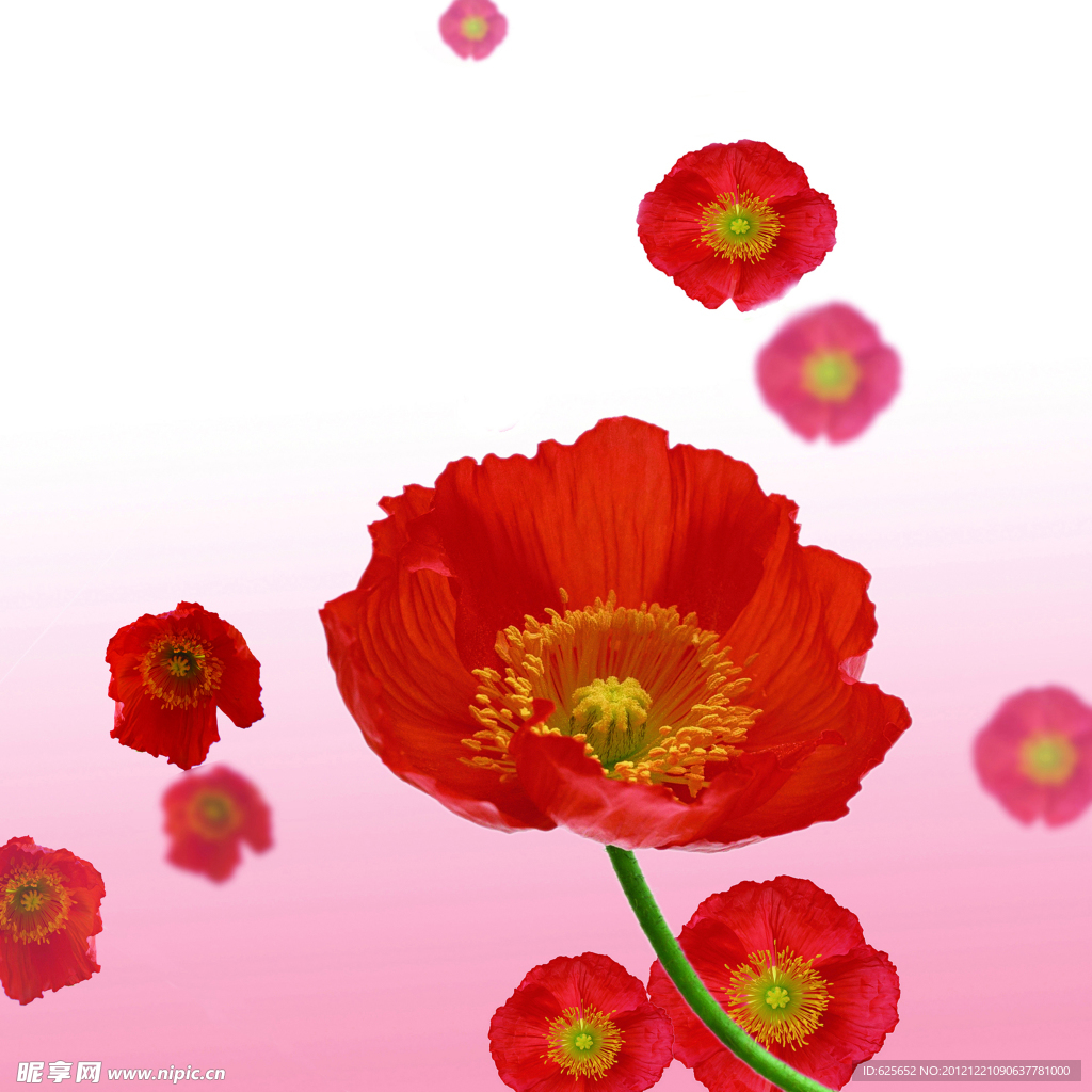 花朵移门