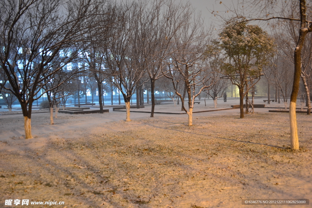 雪中校园夜景