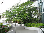 东京街景