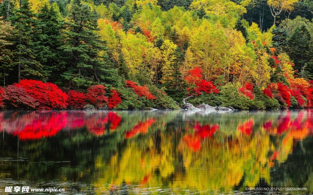 湖边美景