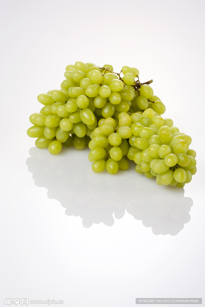 葡萄