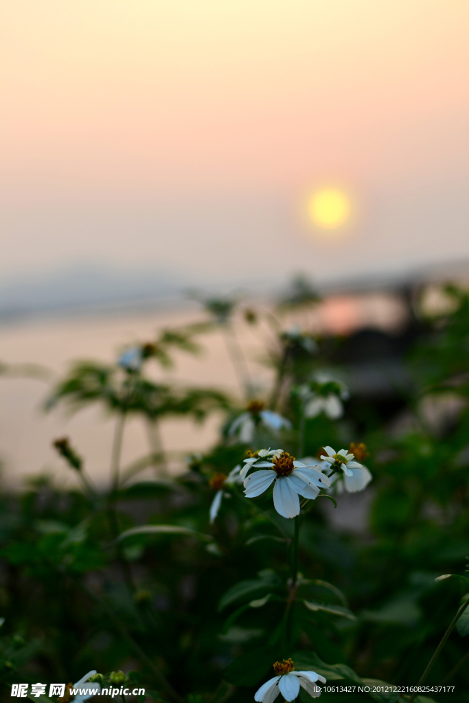 海上日出