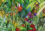 热带植物绘画