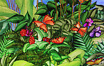 热带植物绘画
