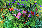 热带植物绘画