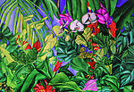 热带植物绘画