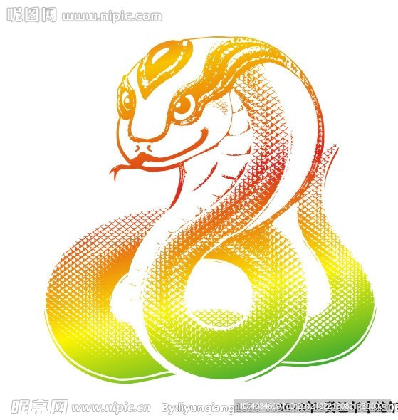 2013年 蛇年