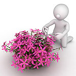 修剪花草