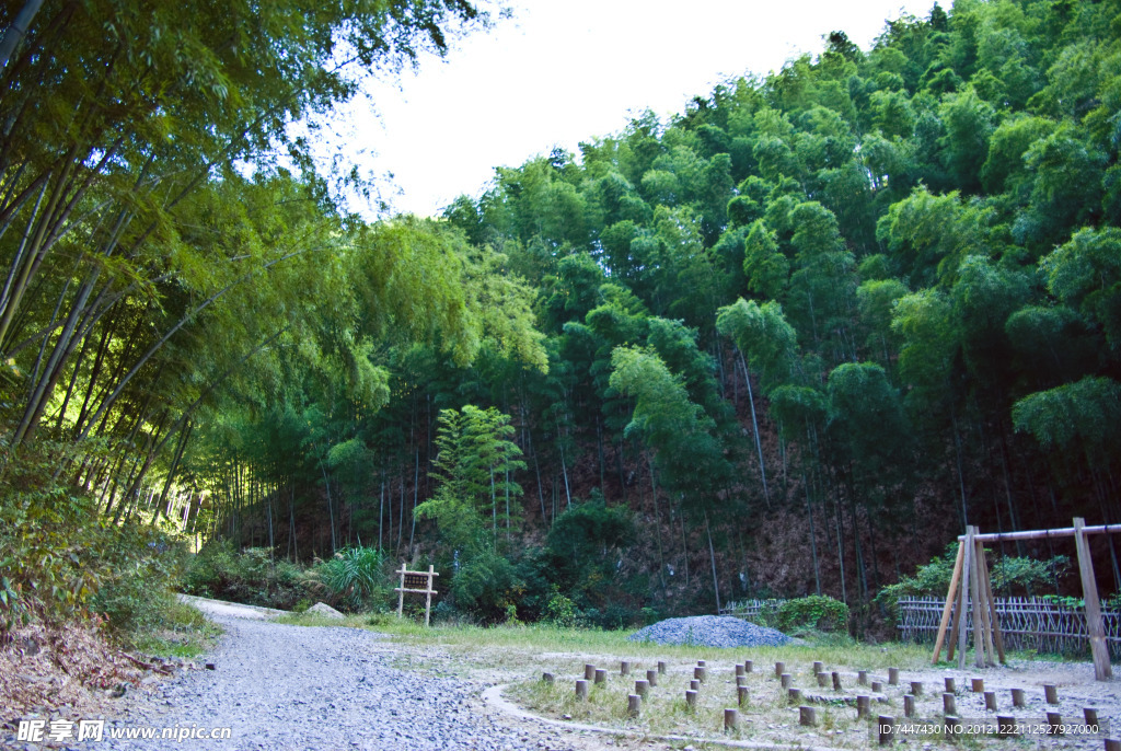 木坑竹海