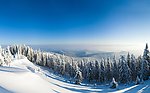 林海雪原