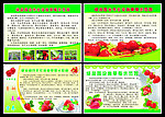 草莓广告