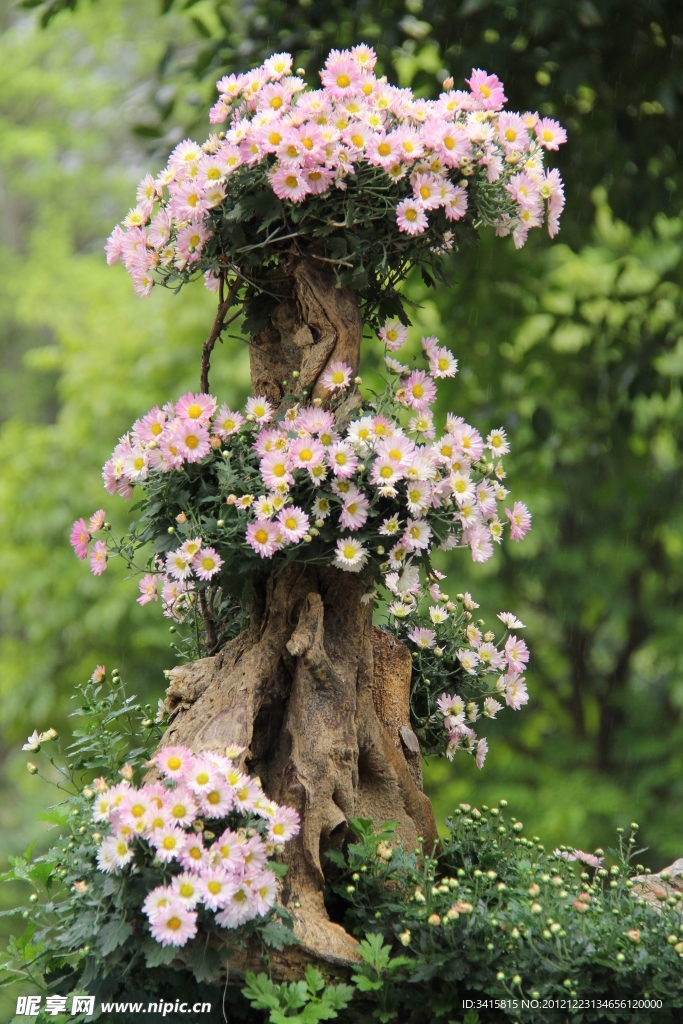 花草树木