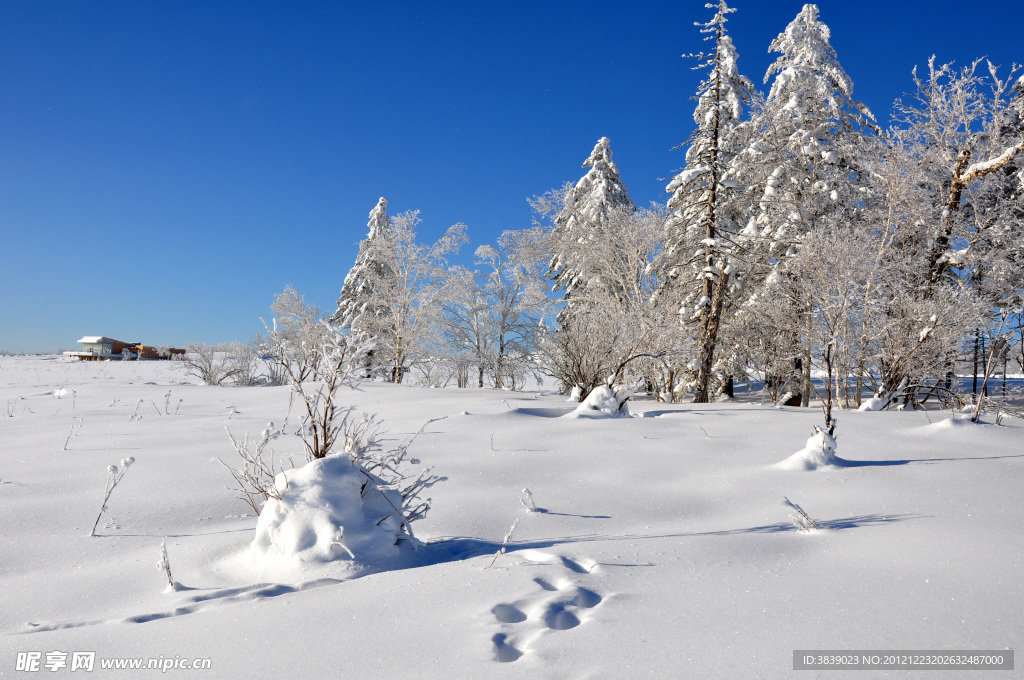 雪景