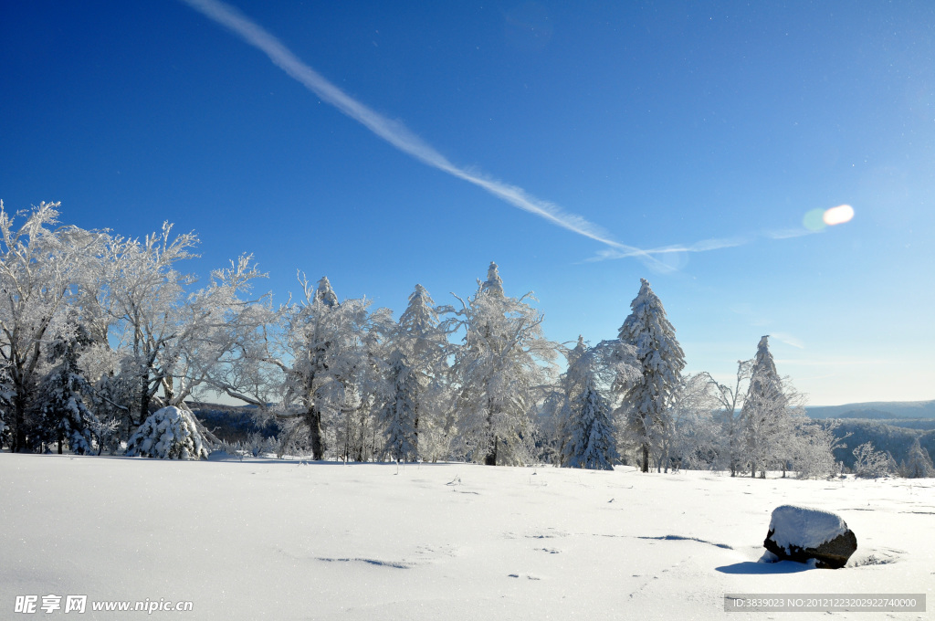 林海雪原