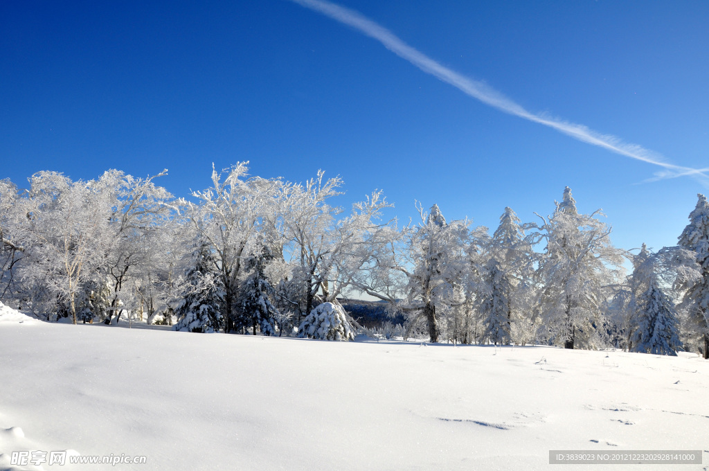 林海雪原