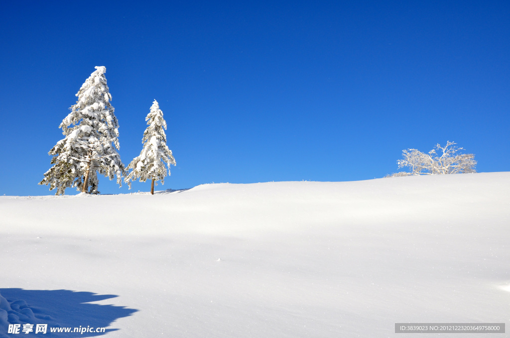 雪域