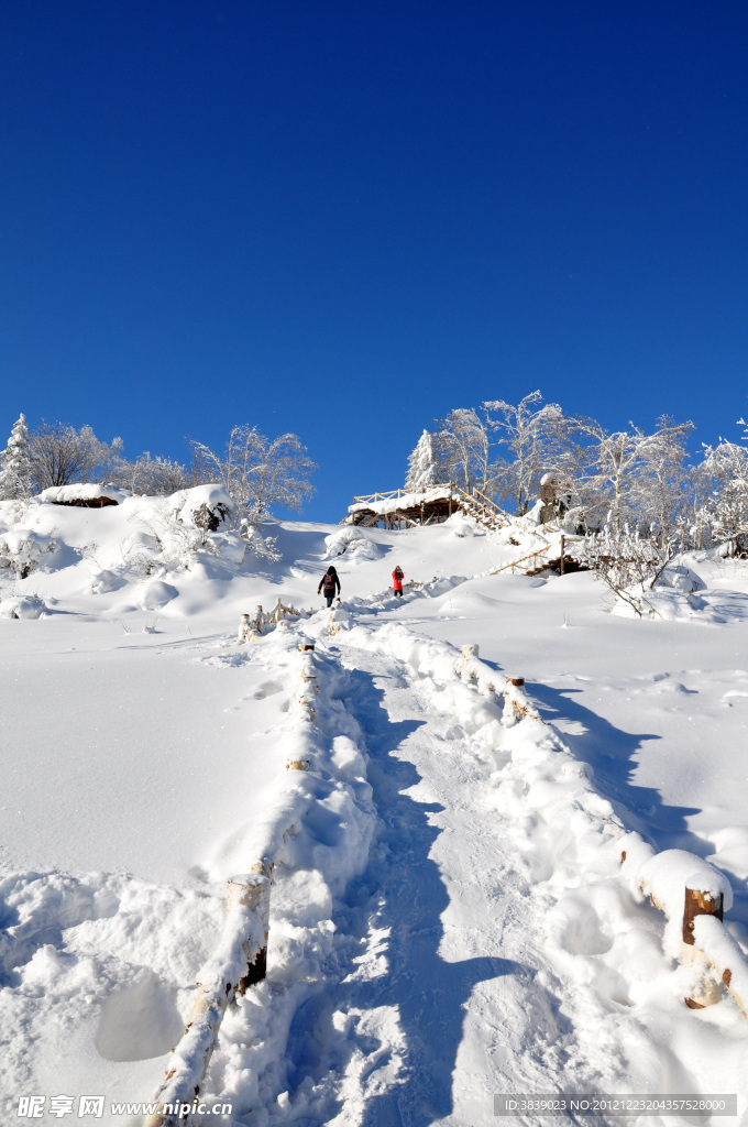 雪地小路