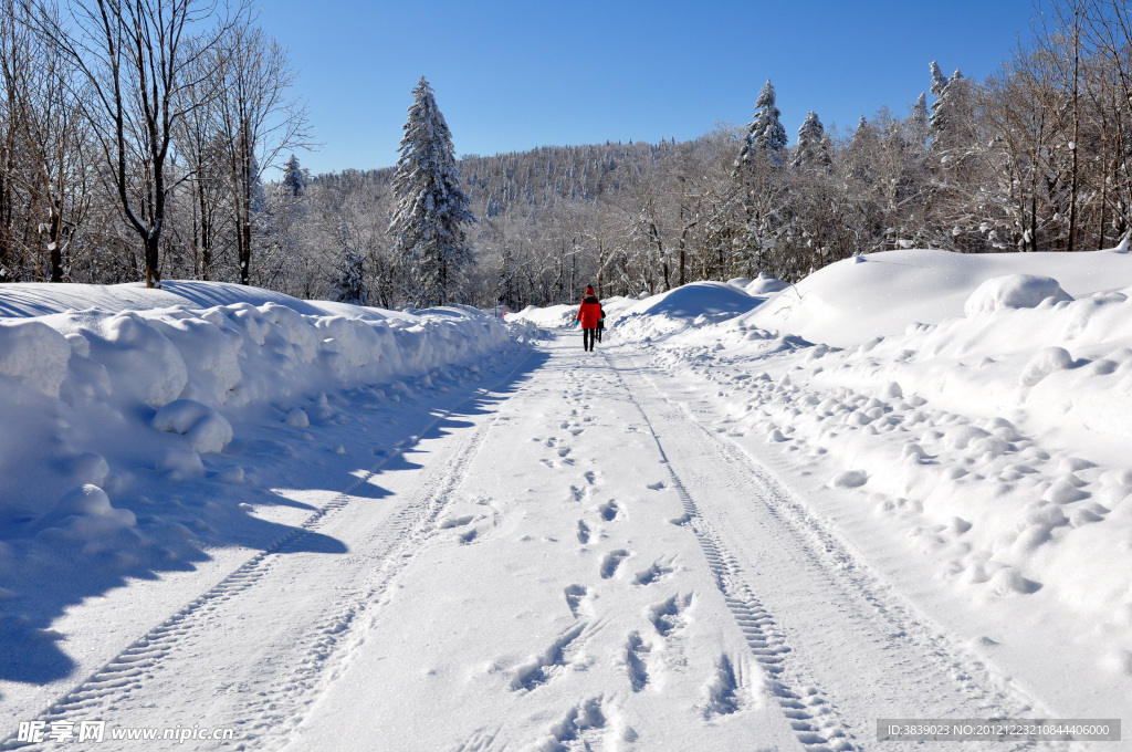 走在雪路上