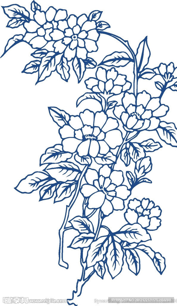 花纹