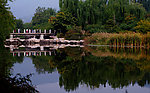 公园美景
