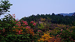 公园美景