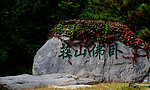 公园美景