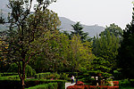 公园美景