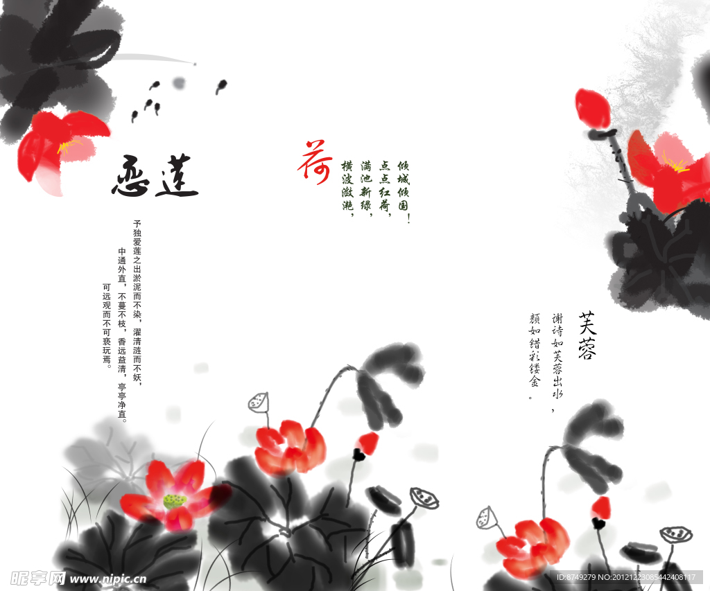 莲花