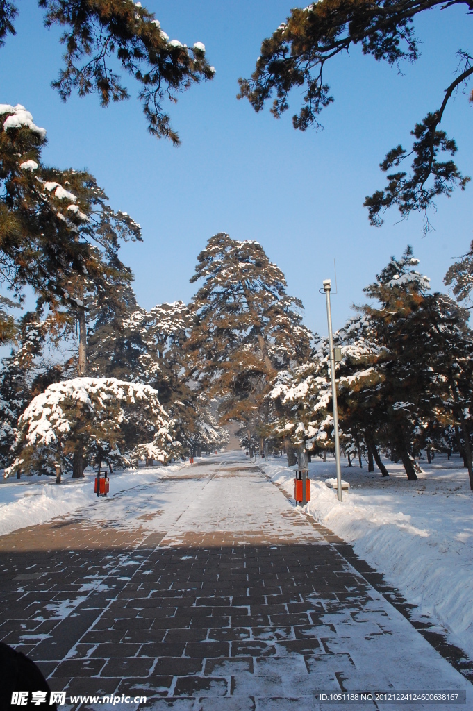 雪景