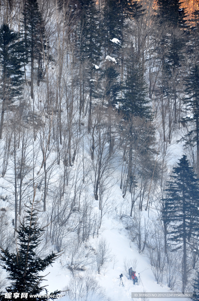 林海雪原