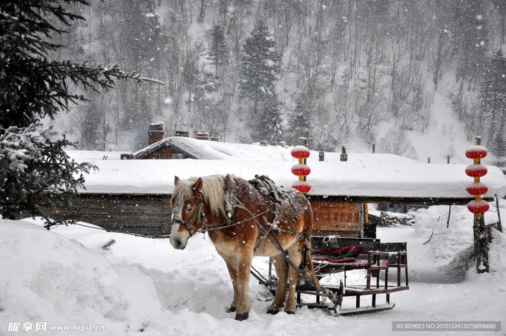 雪地马车