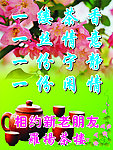 茶楼写真