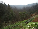 田园风光