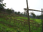 田园风光