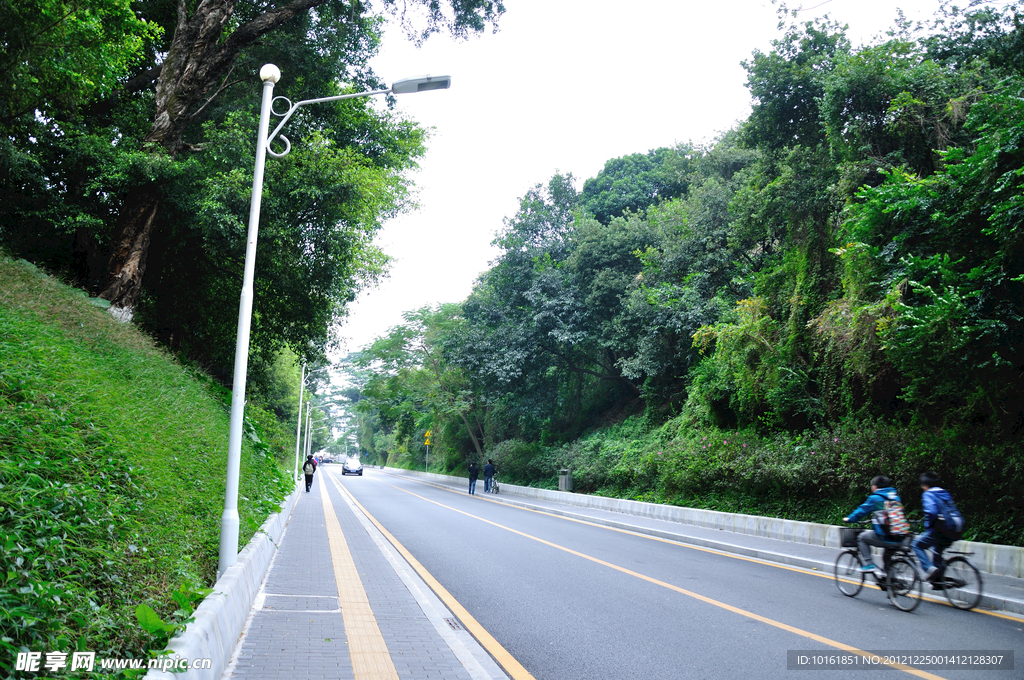 静谧小路