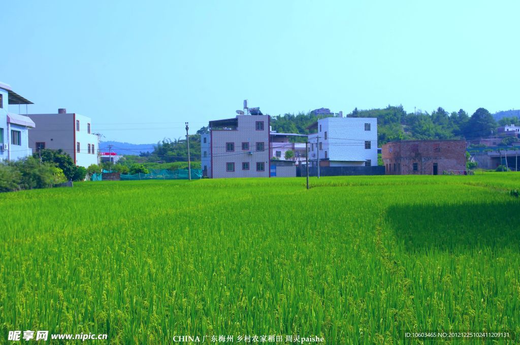 乡村风景 田园风光