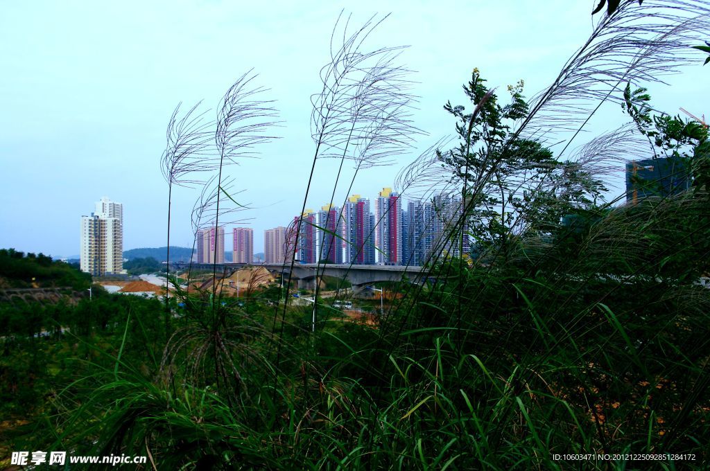 城市风景 山中高楼