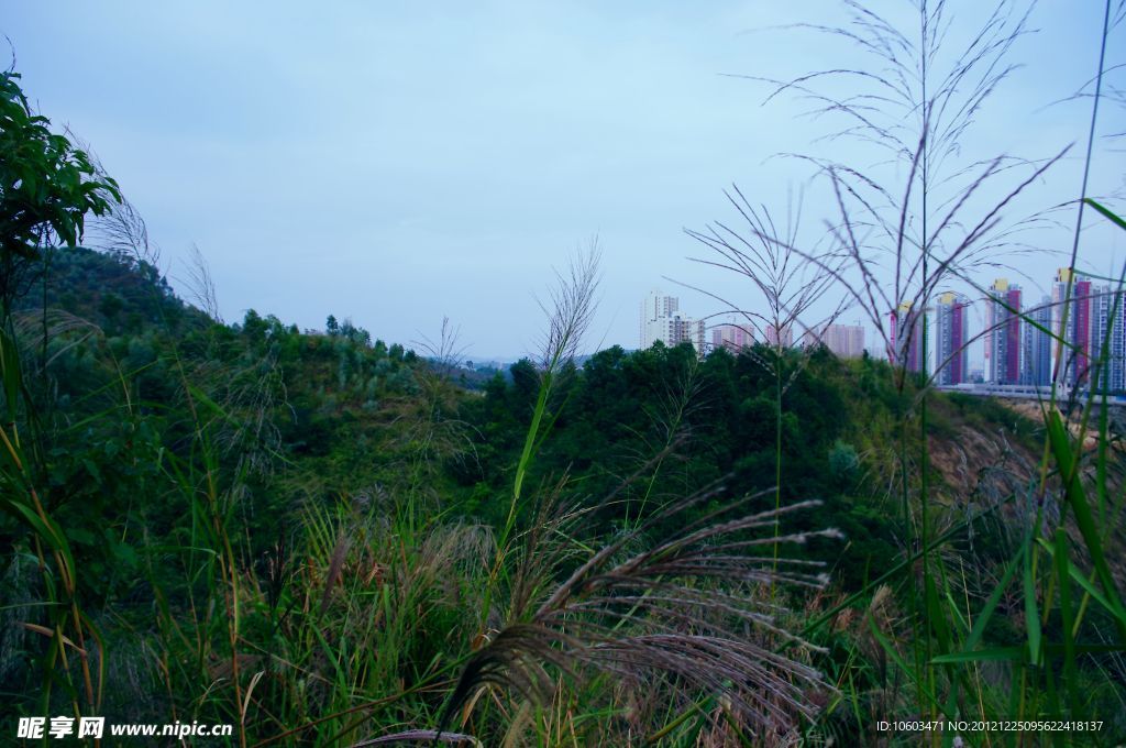 城市风景 山岚楼房