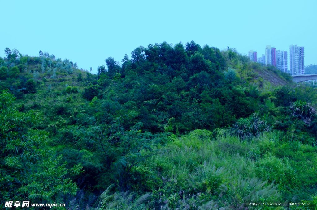 山水风景 城市风光