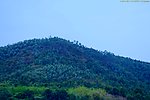 城市山水 青山绿化