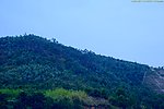 城市山水 绿色山岚