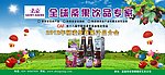 圣桑农高会背景