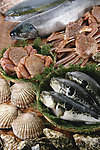海鲜