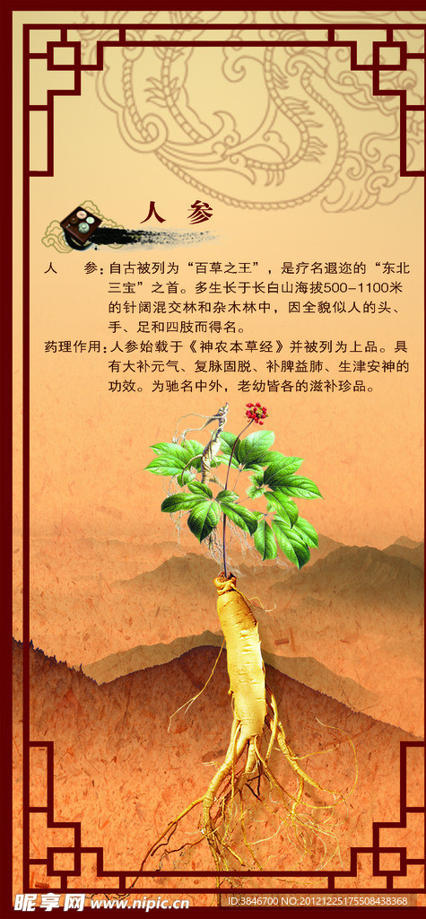 人参