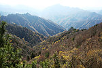 秦岭风景