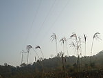 山坡